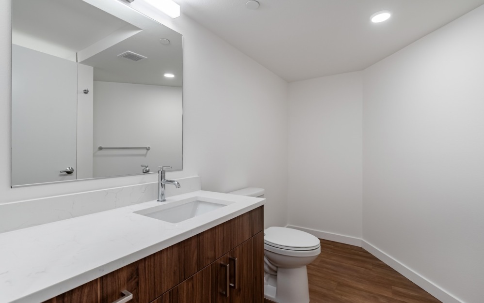 a bathroom with a sink, mirror and toilet
